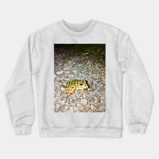 Nice Frog Crewneck Sweatshirt